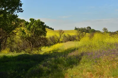 DSC_6460 (Large).JPG